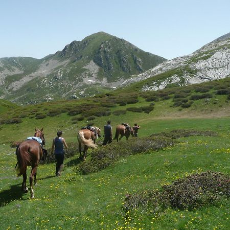 Agriturismo Bio-Ecologico Sant'Isidoro Roccaforte Mondovì エクステリア 写真