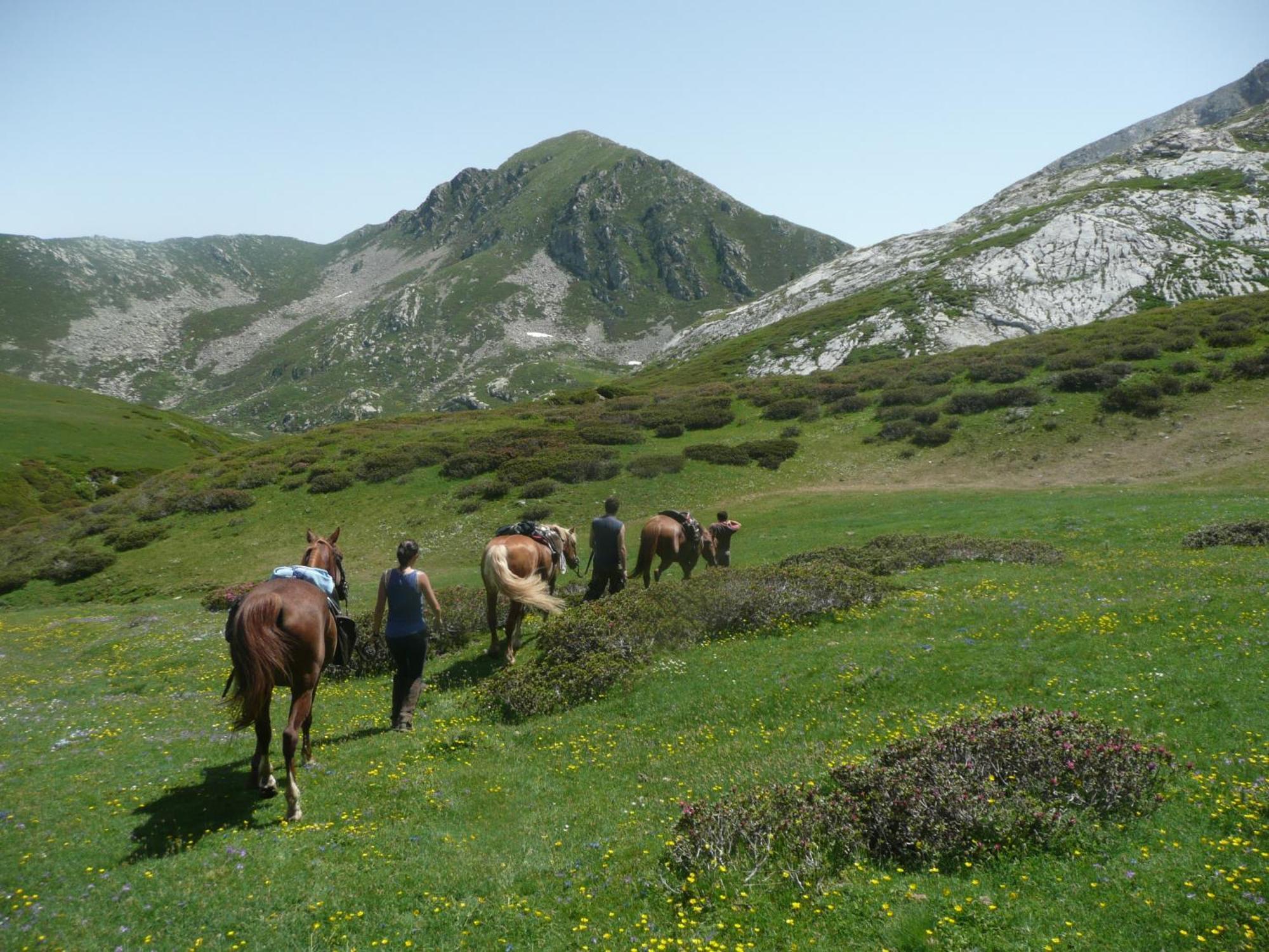 Agriturismo Bio-Ecologico Sant'Isidoro Roccaforte Mondovì エクステリア 写真