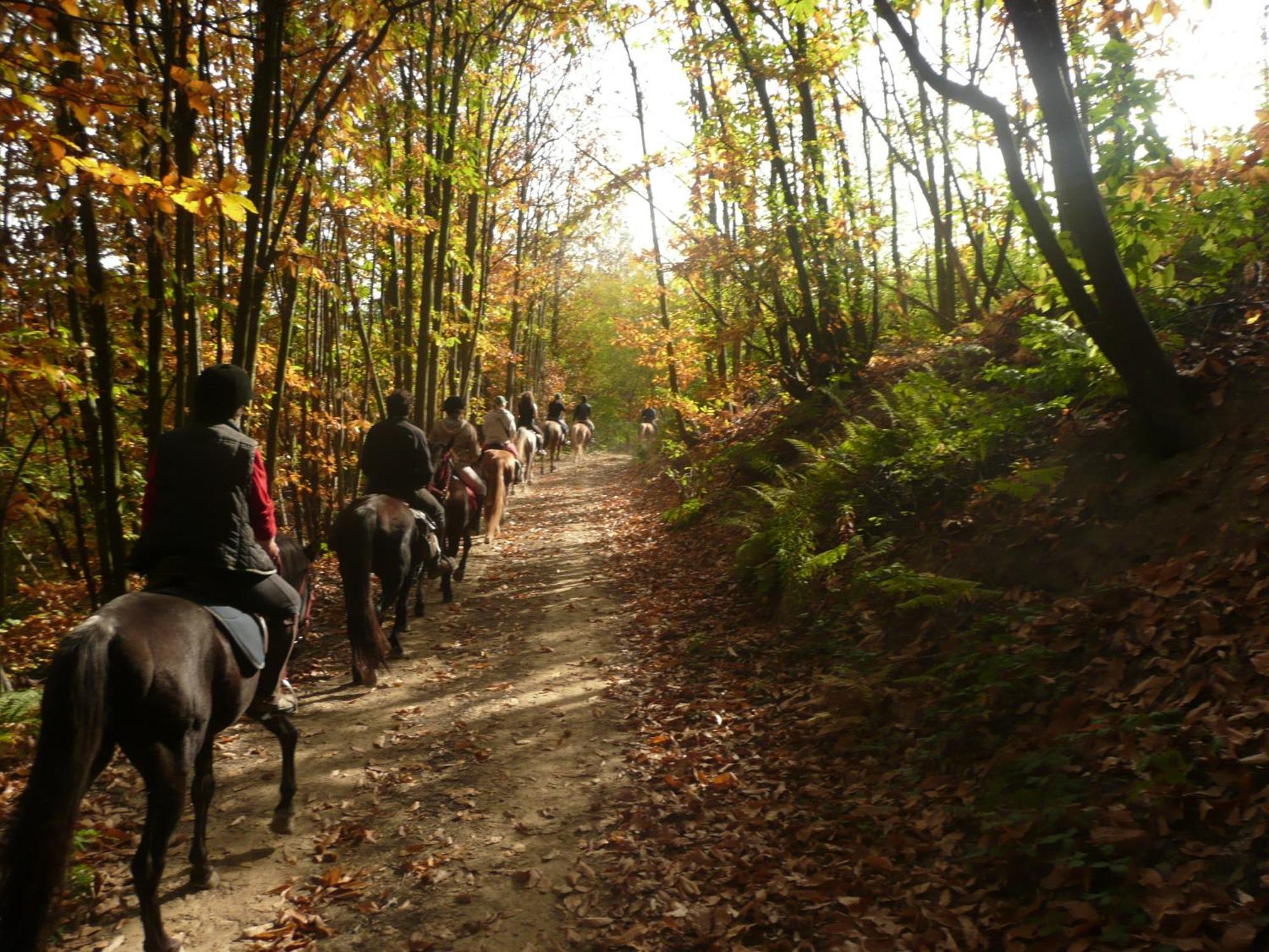 Agriturismo Bio-Ecologico Sant'Isidoro Roccaforte Mondovì エクステリア 写真