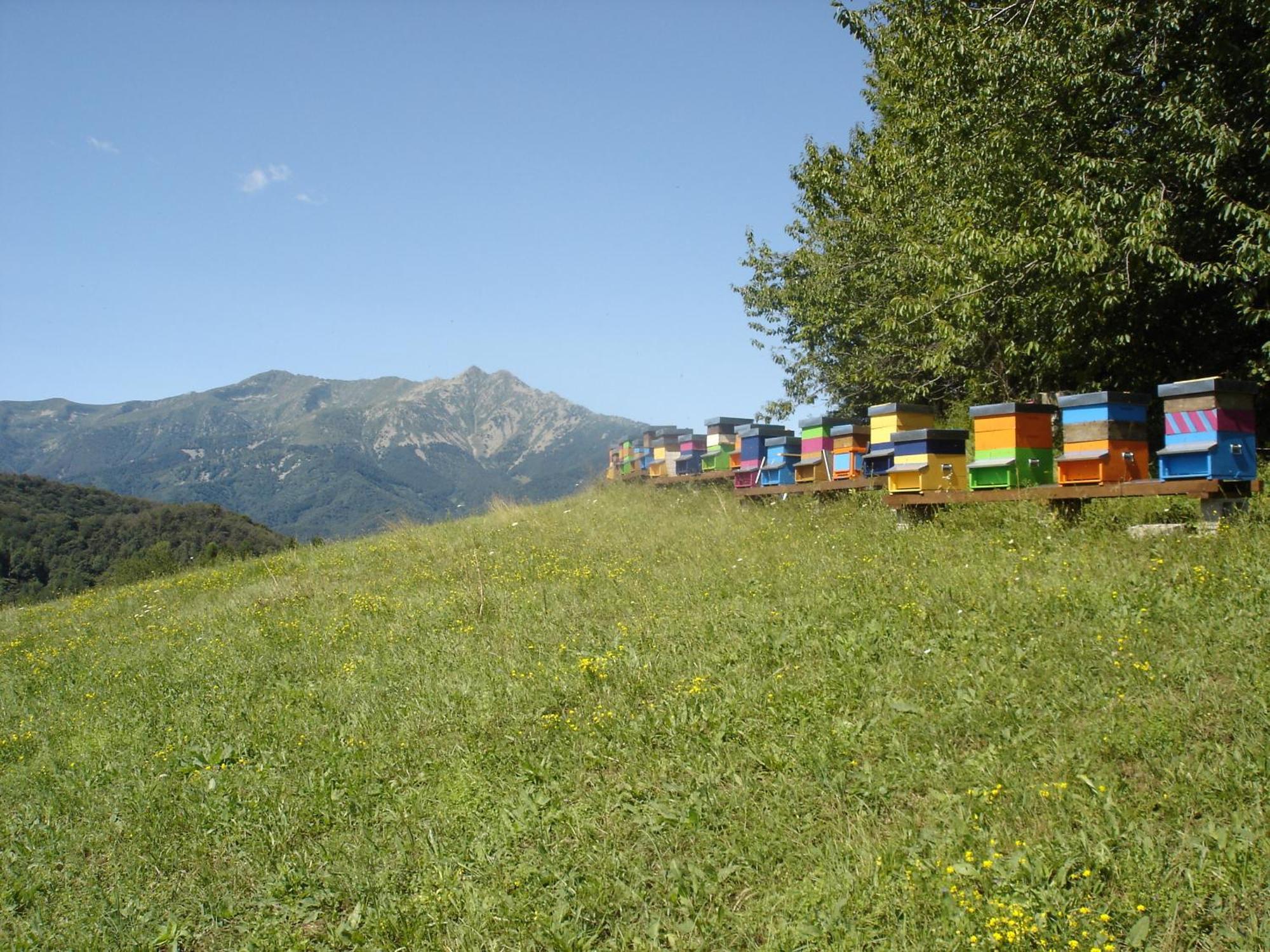 Agriturismo Bio-Ecologico Sant'Isidoro Roccaforte Mondovì エクステリア 写真