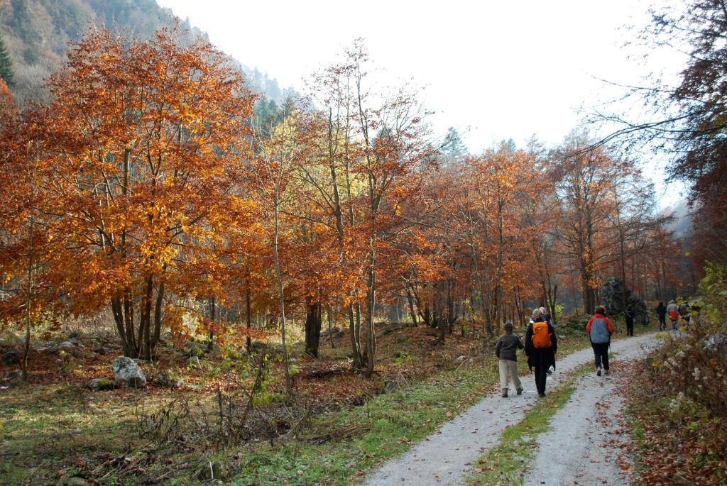 Agriturismo Bio-Ecologico Sant'Isidoro Roccaforte Mondovì エクステリア 写真