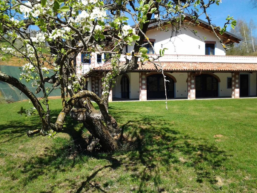 Agriturismo Bio-Ecologico Sant'Isidoro Roccaforte Mondovì エクステリア 写真