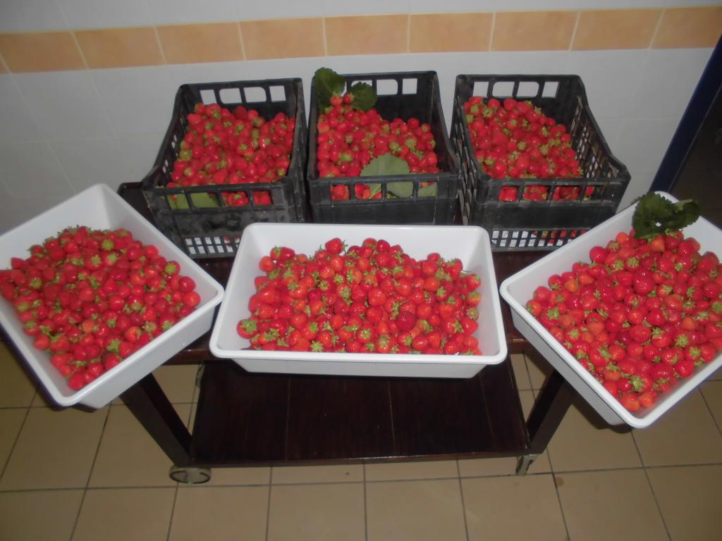 Agriturismo Bio-Ecologico Sant'Isidoro Roccaforte Mondovì エクステリア 写真