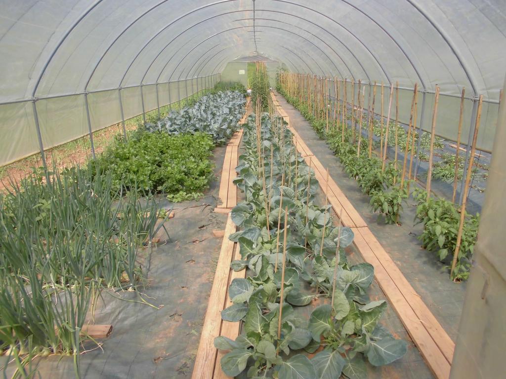 Agriturismo Bio-Ecologico Sant'Isidoro Roccaforte Mondovì エクステリア 写真